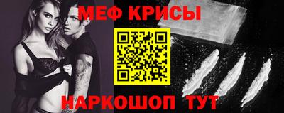 тгк Кингисепп