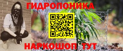 ALPHA PVP Кимры