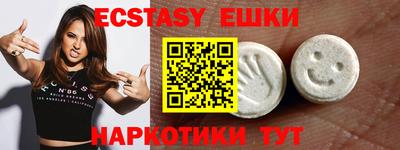 тгк Кингисепп