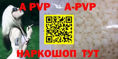 тгк Кингисепп