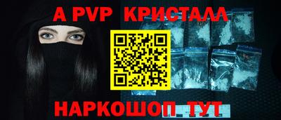 тгк Кингисепп