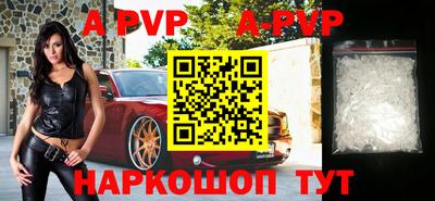 тгк Кингисепп